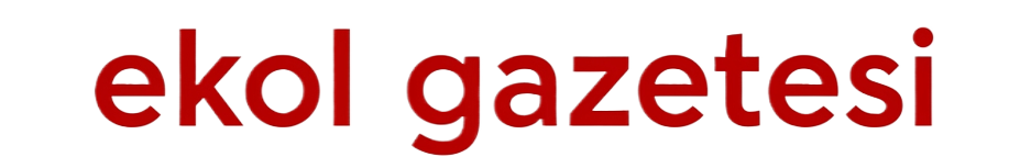 Ekol Gazetesi