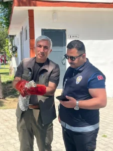 Battalgazi'de yavru baykuş koruma altına alındı