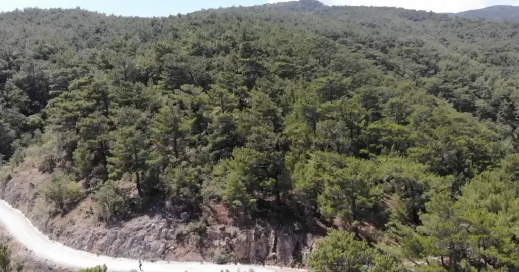 Kahramanmaraş'ta ormanlara girişlere yangın tedbiri