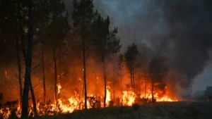 Antalya, Adıyaman ve Muğlada orman yangınlarıyla mücadele sürüyor