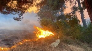 Çanakkale 4 gün boyunca ateş yakmak yasaklandı