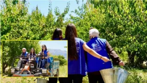 Isparta'lı gönüllü gençler kayısı hasadında üretime destek verdi