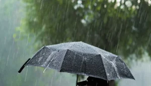Meteoroloji'den 5 il için sarı kodlu yağış uyarısı
