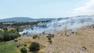 Muğla'da korkutan orman yangını!