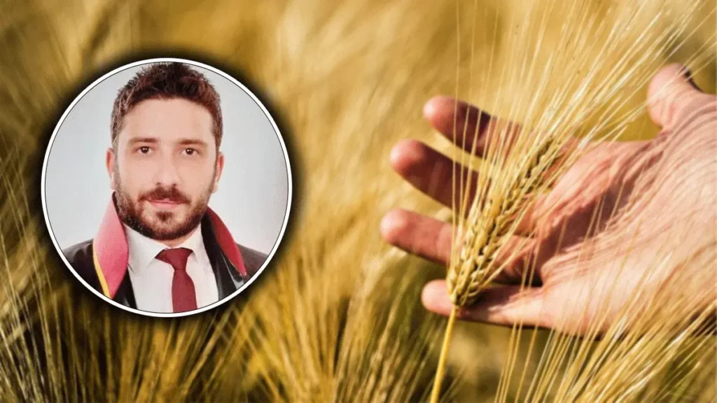 Şanlıurfalı çiftçilere kritik uyarı! "Ürünüm gitti" demeden önce bunu bilin