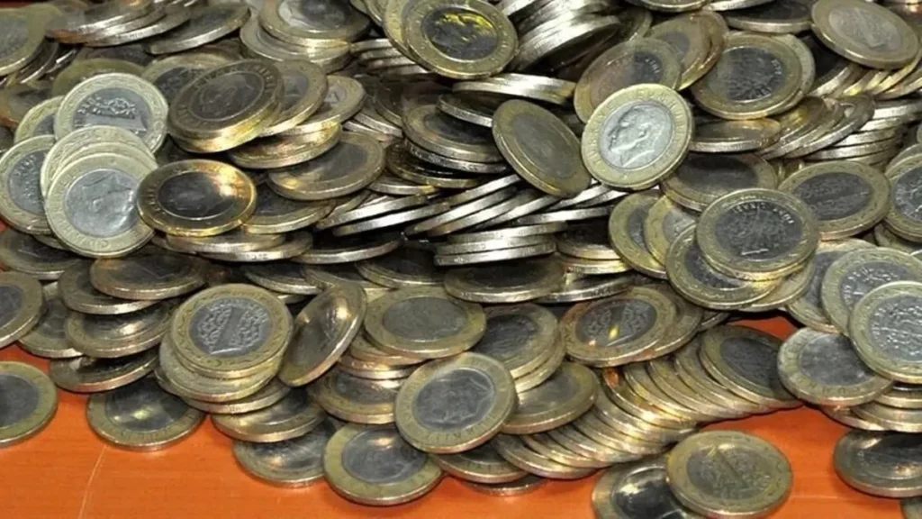 Vatandaşın cebine giren madeni para belli oldu