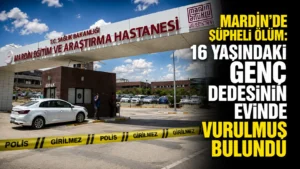 Dedesi evi (3)