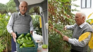 Samsunda dünya bahçesi kurdu 50 ülkeden getirdiği tohumlarla 120 farklı ürün yetiştiriyor