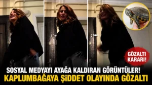 Sosyal Medyayı Ayağa Kaldıran Görüntüler! Kaplumbağaya Şiddet Olayında Gözaltı